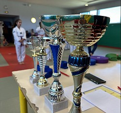 Remise de grade et trophée passage de grade taekwondo club borderouge